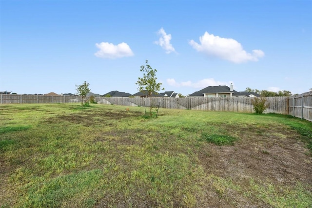 149 Metheglin Dr, Temple, TX 76502 - view of yard