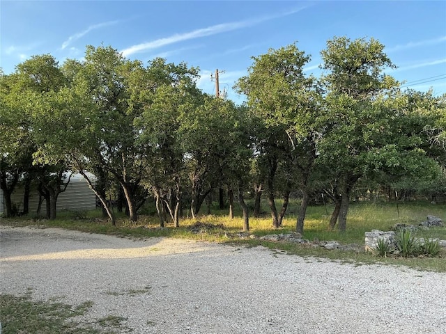 319 Fawnridge St, Georgetown, TX 78628 - view of dirt / gravel road