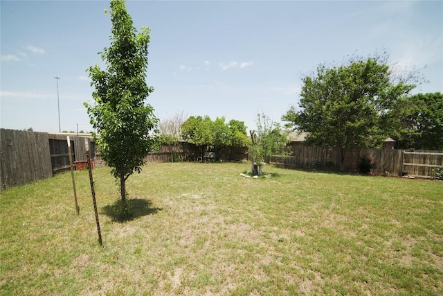1800 Quiet Meadows Cv, Pflugerville, TX 78660 - view of yard