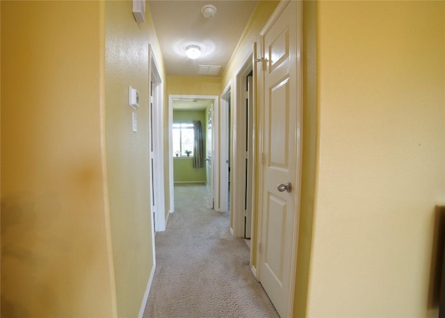 1800 Quiet Meadows Cv, Pflugerville, TX 78660 - hallway featuring light colored carpet and baseboards