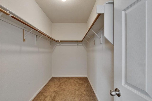 2225 Lou John St, Austin, TX 78727 - walk in closet featuring carpet