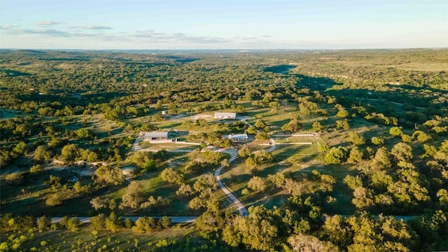 25404 Hamilton Pool Rd, Round Mountain, TX 78663 - aerial overview of property's location