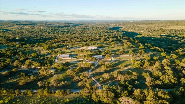 25404 Hamilton Pool Rd, Round Mountain, TX 78663 - photo 2