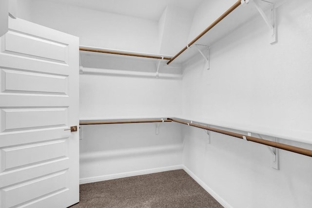 1621 Coral Sunrise Aly, Leander, TX 78641 - walk in closet featuring dark carpet