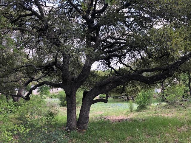 TBD Quick Cir, Horseshoe Bay, TX 78657