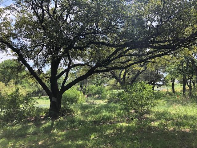 TBD Quick Cir, Horseshoe Bay, TX 78657