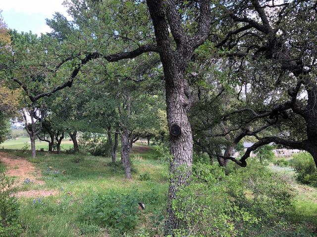 TBD Quick Cir, Horseshoe Bay, TX 78657 - photo 12