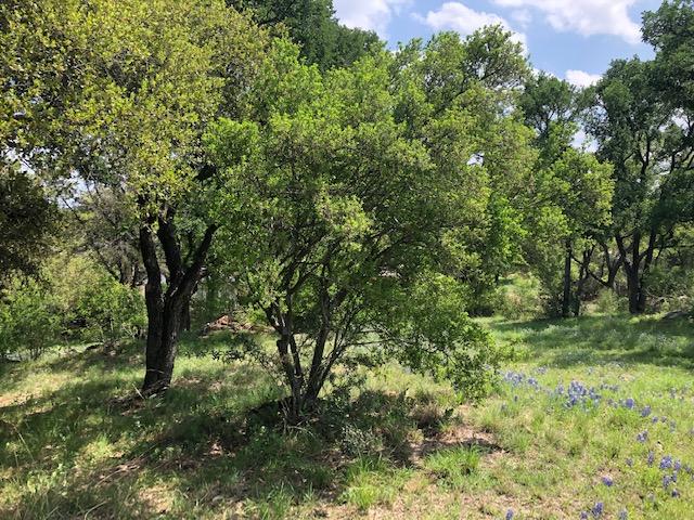 TBD Quick Cir, Horseshoe Bay, TX 78657