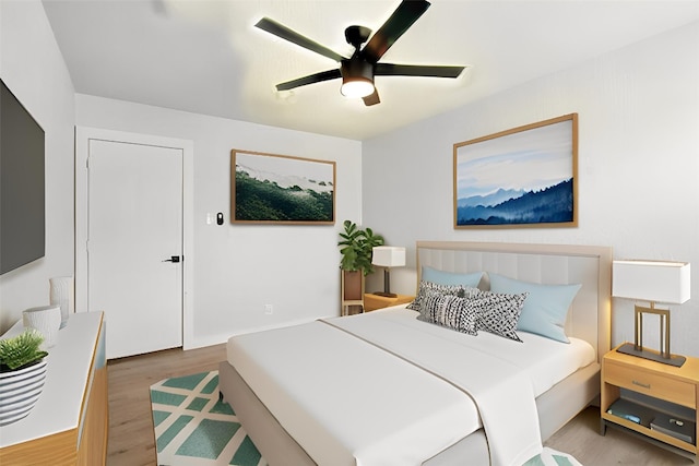 179 Pimlico, Kyle, TX 78640 - bedroom with wood finished floors and a ceiling fan