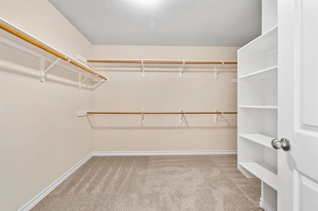2511 Jacqueline Dr, Leander, TX 78641 - walk in closet with carpet flooring