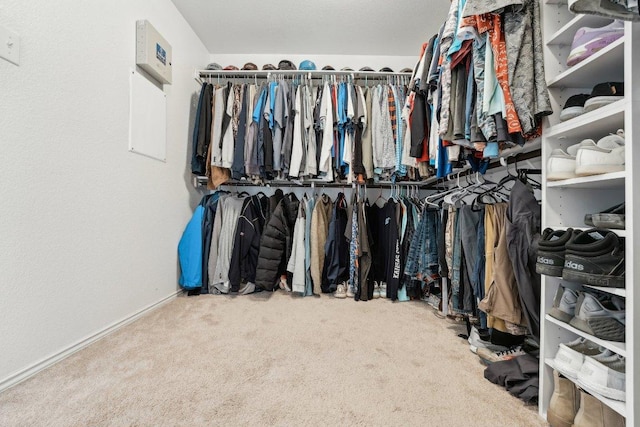 432 Druse Ln, Jarrell, TX 76537 - walk in closet with carpet floors
