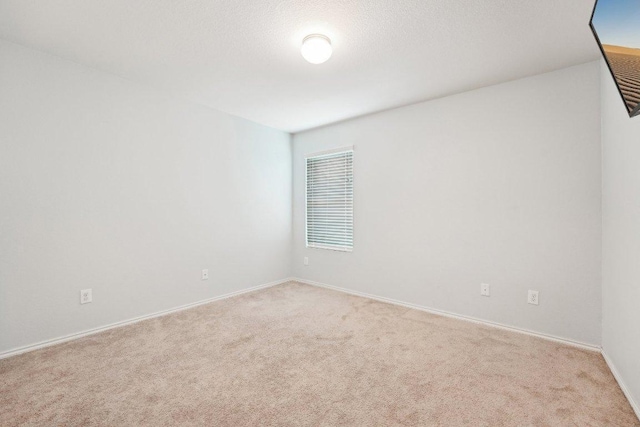 432 Druse Ln, Jarrell, TX 76537 - spare room featuring light carpet and baseboards