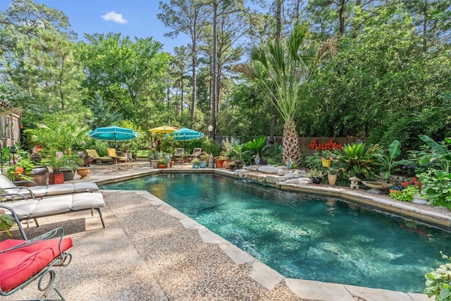 259 Akaloa Dr, Bastrop, TX 78602 - view of pool with a patio and a fenced backyard