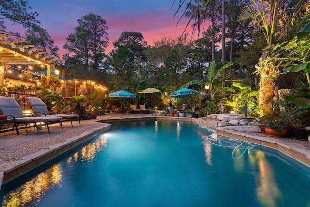 259 Akaloa Dr, Bastrop, TX 78602 - outdoor pool with a pergola