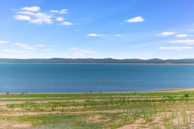 348 Carlson Cir, Buchanan Dam, TX 78609 - photo 30