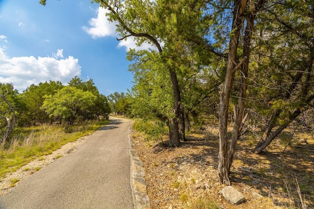 2934 Elm Terrace Ln, Wimberley, TX 78676