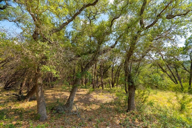 2934 Elm Terrace Ln, Wimberley, TX 78676