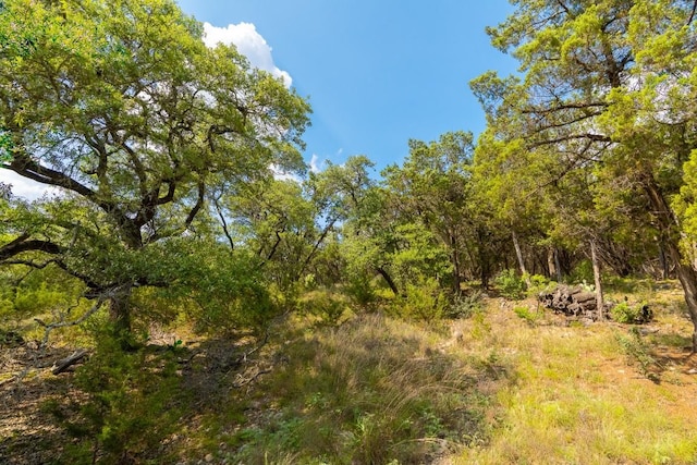 2934 Elm Terrace Ln, Wimberley, TX 78676
