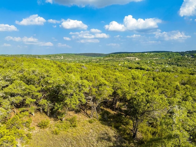 2934 Elm Terrace Ln, Wimberley, TX 78676
