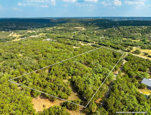 2934 Elm Terrace Ln, Wimberley, TX 78676