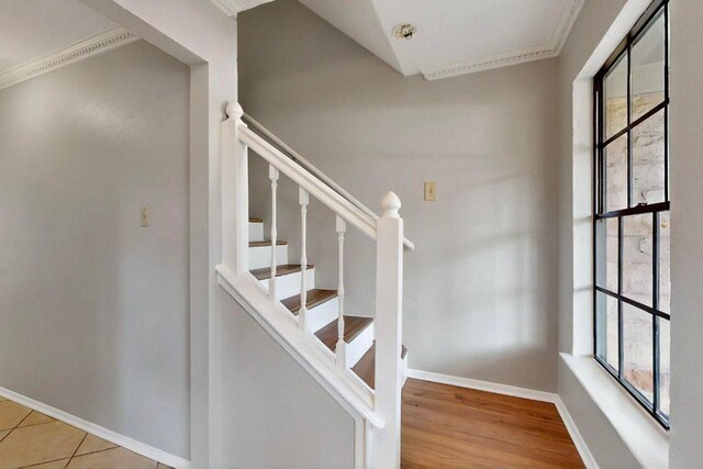 2617 Chowan Cv, Round Rock, TX 78681 - photo 20