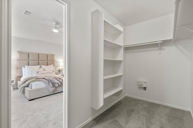 1902 Rockland Dr, Austin, TX 78748 - photo 17