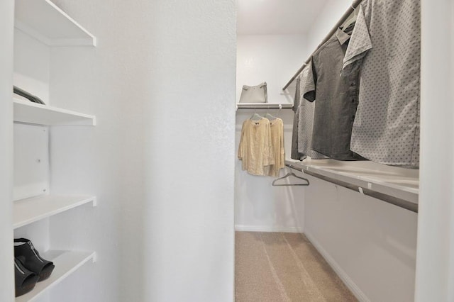 9015 Cattle Baron Path Unit 404, Austin, TX 78747 - walk in closet featuring light carpet