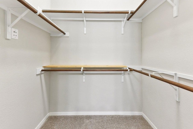 116 Saranac Dr, Elgin, TX 78621 - walk in closet featuring carpet flooring