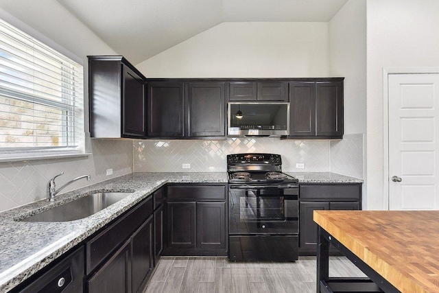 116 Saranac Dr, Elgin, TX 78621 - kitchen with black range with electric stovetop, a sink, vaulted ceiling, light stone countertops, and light wood-style flooring
