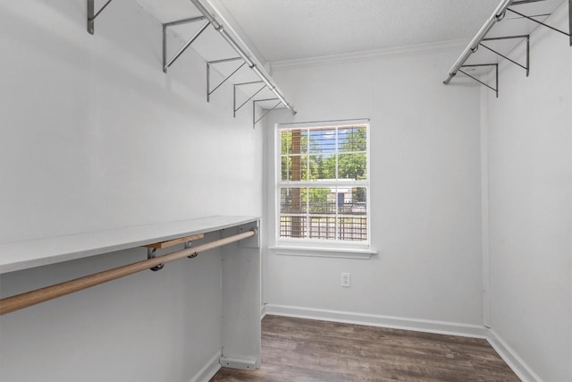 1125 Christie Dr, Austin, TX 78721 - walk in closet with dark wood finished floors