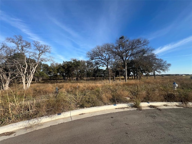 148 W Rio Ranch Rd, Liberty Hill, TX 78642 - photo 1