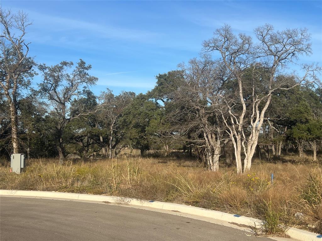 148 W Rio Ranch Rd, Liberty Hill, TX 78642 - photo 3