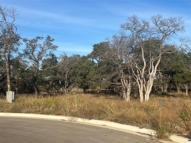148 W Rio Ranch Rd, Liberty Hill, TX 78642 - photo 3
