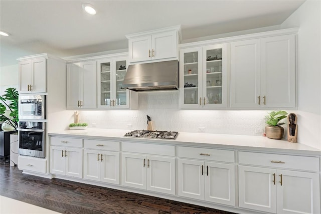5028 Olimpico Way, Leander, TX 78641 - kitchen featuring ventilation hood, appliances with stainless steel finishes, white cabinets, and light countertops
