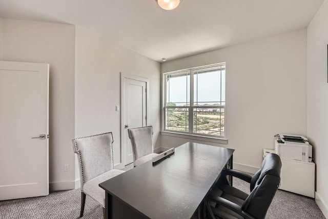 1531 N Red Bud Ln Unit 34, Round Rock, TX 78665 - office space featuring baseboards and carpet