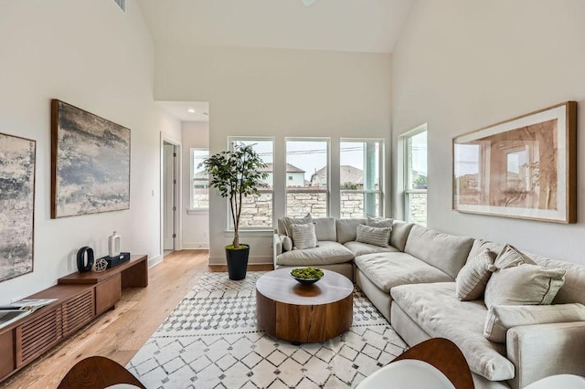 1531 N Red Bud Ln Unit 34, Round Rock, TX 78665 - living area with high vaulted ceiling and light wood-style flooring