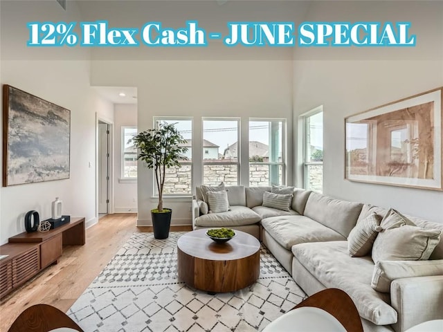 1531 N Red Bud Ln Unit 34, Round Rock, TX 78665 - living room with light wood finished floors and a towering ceiling