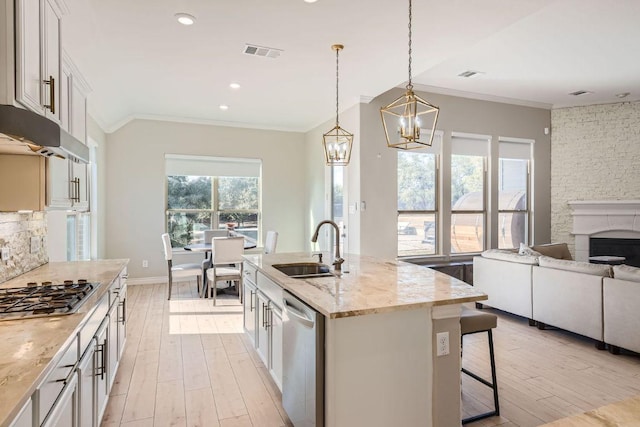 21808 Esmeralda Dr, Spicewood, TX 78669 - kitchen featuring a sink, appliances with stainless steel finishes, light wood-style floors, ornamental molding, and open floor plan