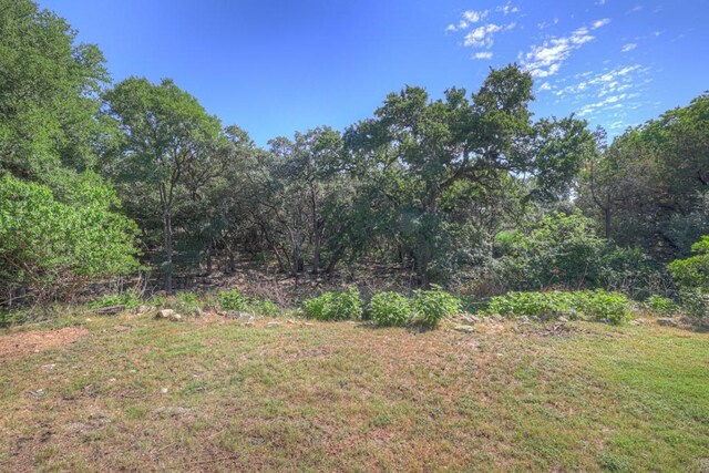 3055 Lakeview Dr, Canyon Lake, TX 78133 - view of grassy yard featuring a view of trees