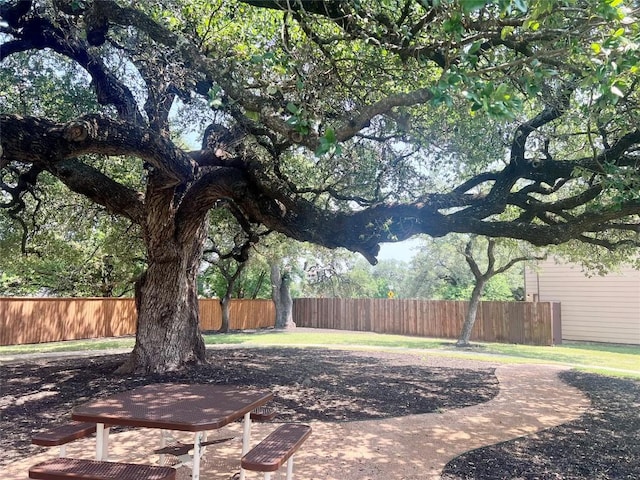 10016 Wading Pool Path, Austin, TX 78748 - view of yard