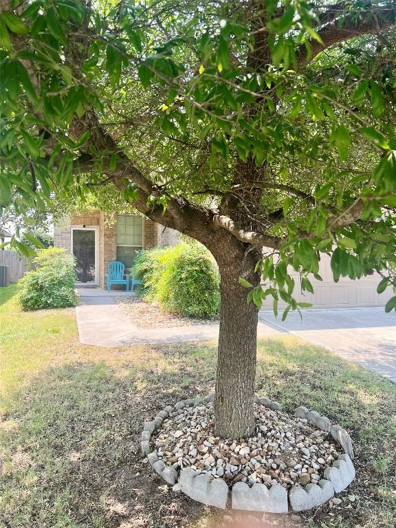 10016 Wading Pool Path, Austin, TX 78748 - view of yard