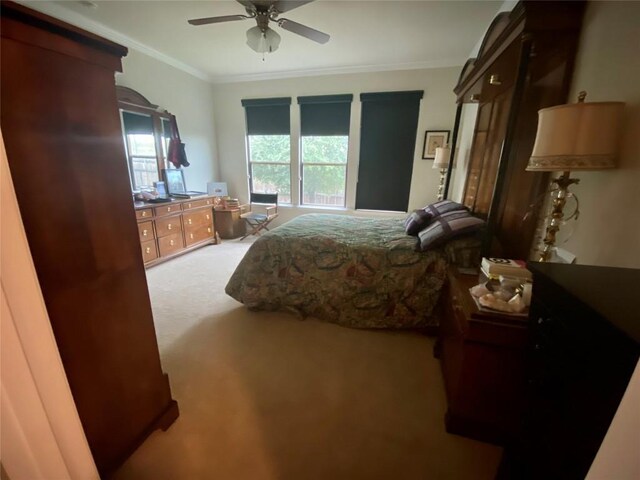 10016 Wading Pool Path, Austin, TX 78748 - bedroom with carpet flooring, ornamental molding, and ceiling fan