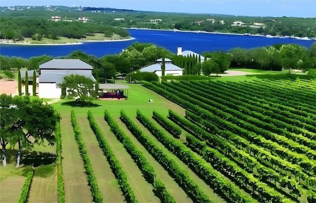2700 Marina Shores Dr, Spicewood, TX 78669 - aerial view of a nearby body of water and farmland