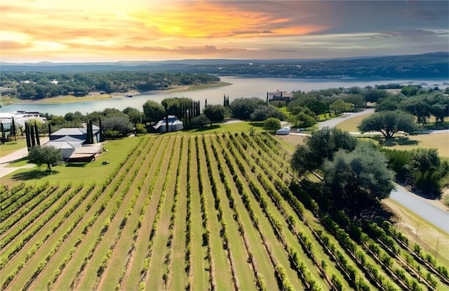2700 Marina Shores Dr, Spicewood, TX 78669 - aerial view at dusk of a water view