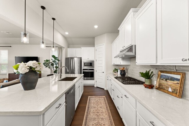 7105 Jument Dr, Austin, TX 78738 - kitchen with stainless steel appliances, under cabinet range hood, a sink, dark wood-style flooring, and white cabinetry