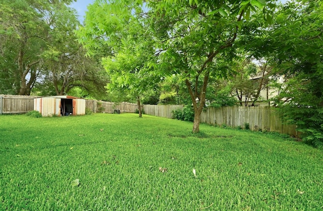 10603 Watchful Fox Dr, Austin, TX 78748 - view of yard with an outbuilding