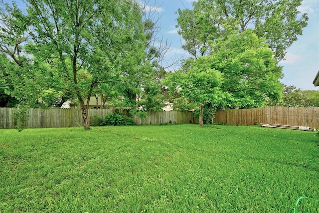 10603 Watchful Fox Dr, Austin, TX 78748 - view of yard