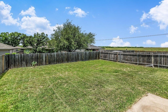 102 Cavalry Trl, Elgin, TX 78621 - view of fenced backyard