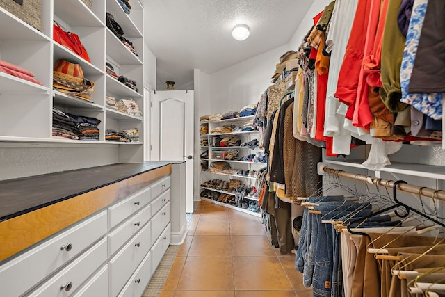 17308 Saint Therese Rd, Manor, TX 78653 - walk in closet with light tile patterned floors