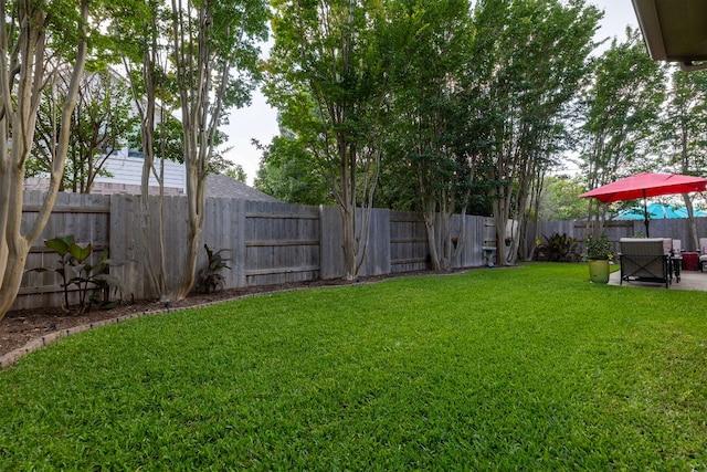 114 Fred Couples Dr, Round Rock, TX 78664 - view of yard featuring a patio area